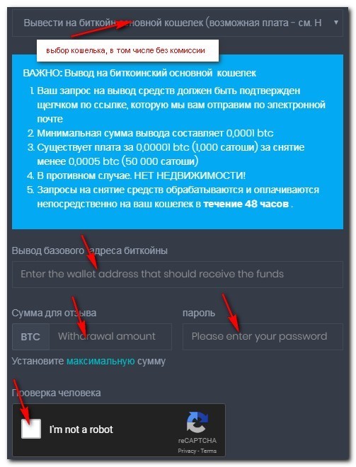 форма при выводе средств из системы Coinot