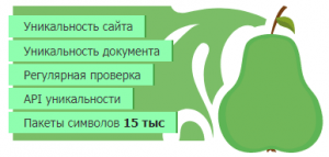 вебмастер в Text.ru